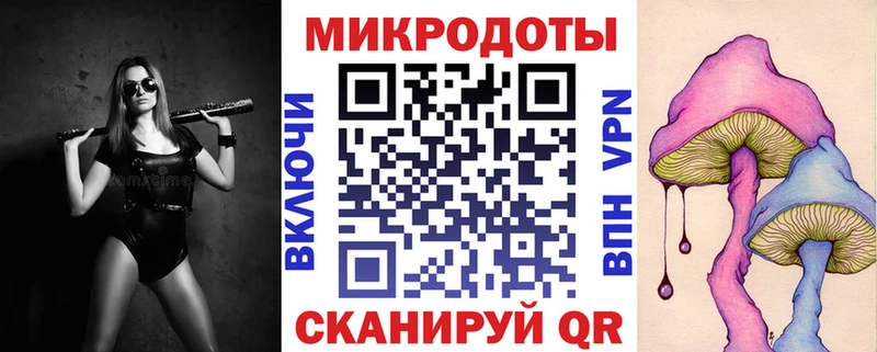 Галлюциногенные грибы Psilocybe  Купить  Зима 